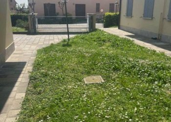 Giardino - Two-room apartment via Saletto, Bentivoglio - photo 15