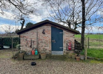 Giardino - Casa indipendente via Trentasei Martiri, Budrio - foto 13