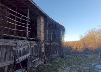 Terreno - Casa indipendente Frazione Costa Case Reggio, Priero - foto 6