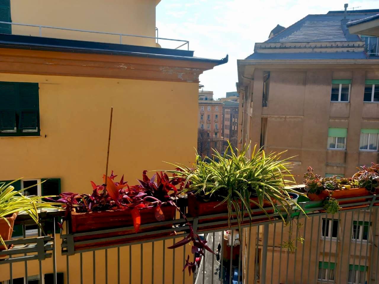 appartamento in locazione circonvalmonte (12) - Appartamento mura di San Bernardino, Genova (zona Castelletto) - foto 3