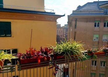 appartamento in locazione circonvalmonte (12) - Appartamento mura di San Bernardino, Genova (zona Castelletto) - foto 3