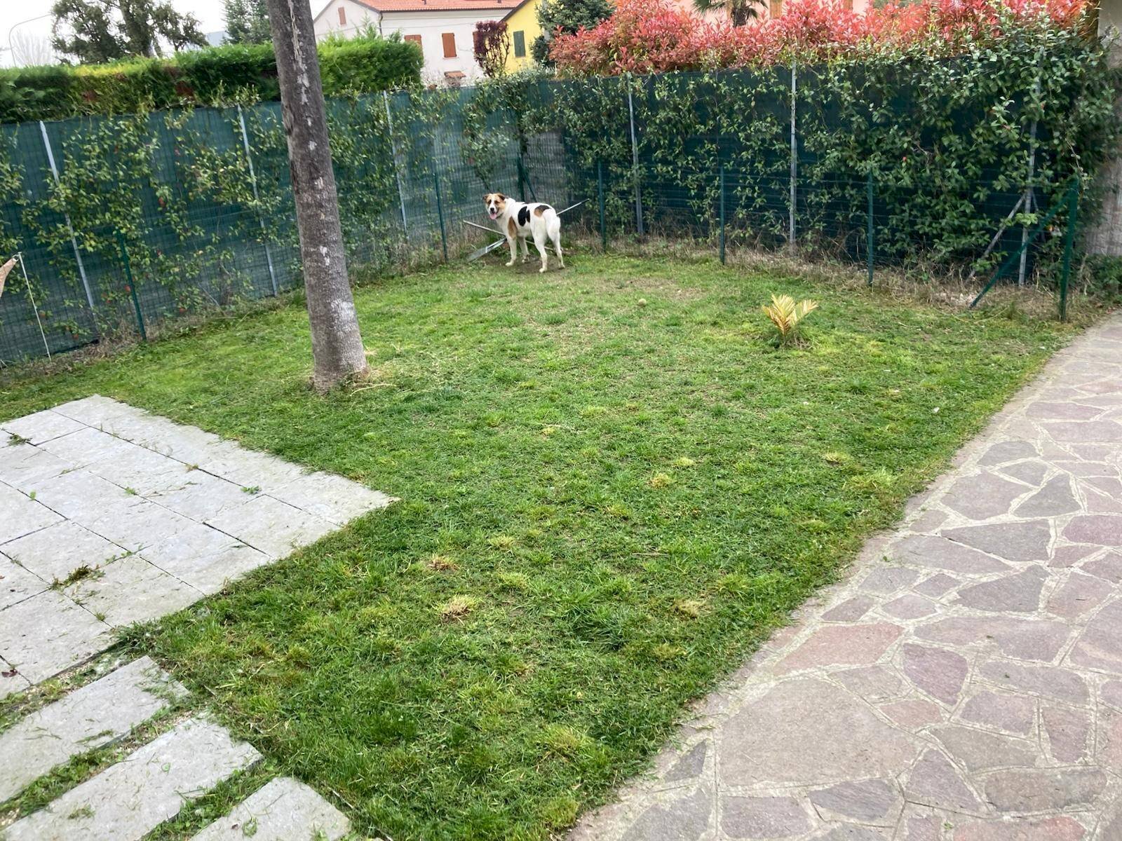 Foto 3 - Semi-detached house Mirandola - photo 3