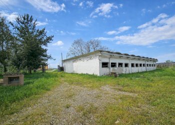 Foto 5 - Villa Concordia sulla Secchia - foto 5