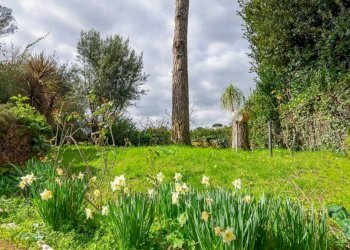 Giardino - Trilocale via di Affogalasino, 41, Roma - foto 2