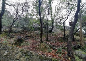 Terreno - Villa at auction strada Consortile Forno Vallette, Zoagli - photo 30