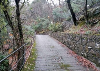 Zona - Villa at auction strada Consortile Forno Vallette, Zoagli - photo 31