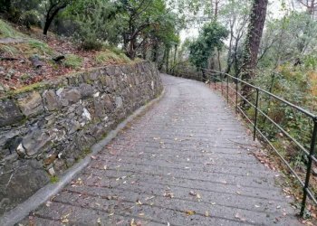 Terreno - Villa at auction strada Consortile Forno Vallette, Zoagli - photo 32