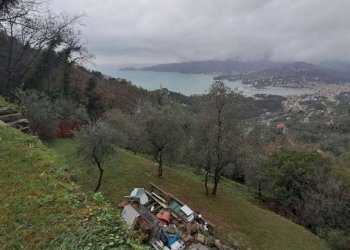 Terreno - Villa all'asta strada Consortile Forno Vallette, Zoagli - foto 41