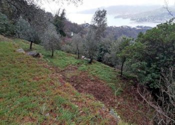 Terreno - Villa all'asta strada Consortile Forno Vallette, Zoagli - foto 42