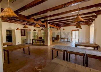 Soggiorno - Commercial Premises Via Cisternino /S.p. 134, Locorotondo - photo 5