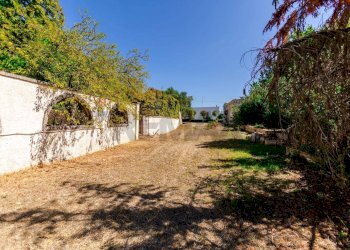 Giardino - Commercial Premises Via Cisternino /S.p. 134, Locorotondo - photo 22