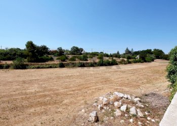 Giardino - Commercial Premises Via Cisternino /S.p. 134, Locorotondo - photo 27