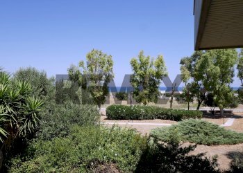 Giardino - Four-room apartment Strada Dello Schiamante
 
1, Bari - photo 16