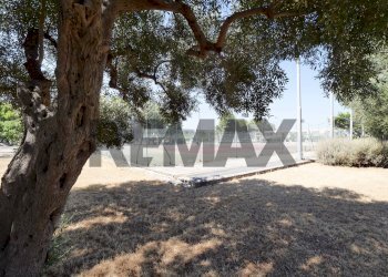 Giardino - Four-room apartment Strada Dello Schiamante
 
1, Bari - photo 18