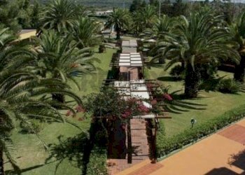 Giardino - Trilocale Susanna
 
401, Ugento - foto 13