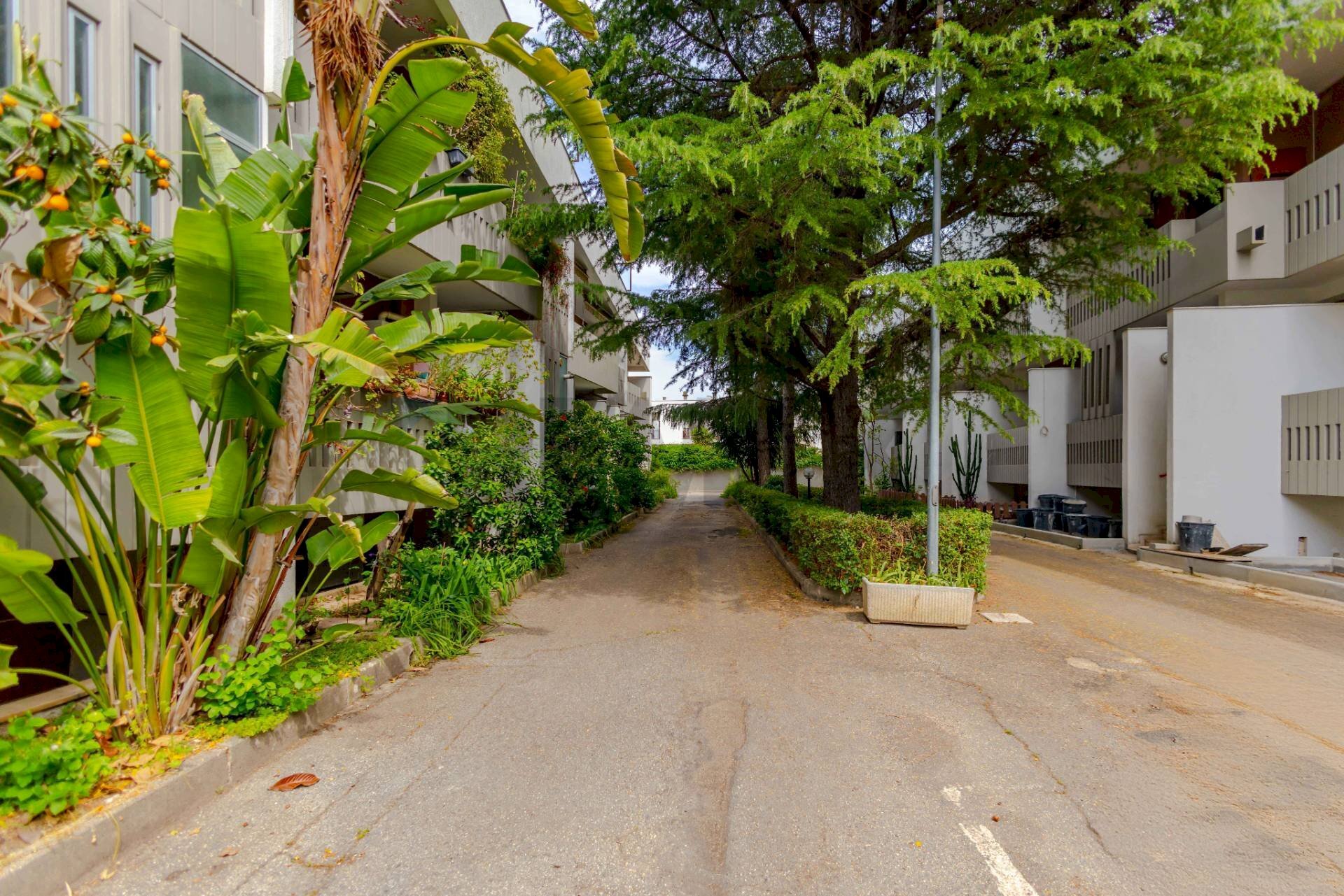 Edificio all\'aperto - Trilocale Via Giuseppe Fanelli
 
206/G, Bari - foto 2