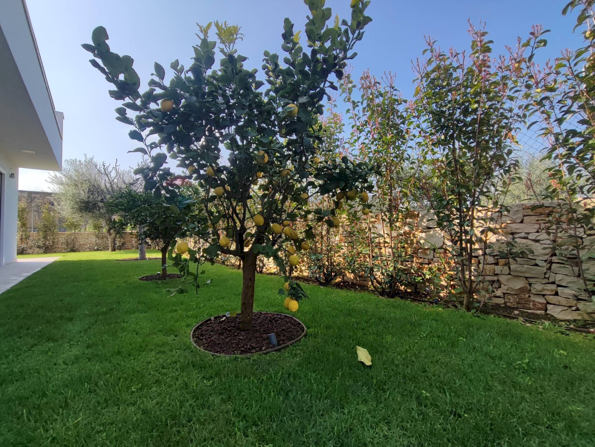 Giardino - Appartamento Strada Torrebella
6, Bari - foto 3