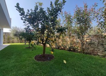 Giardino - Appartamento Strada Torrebella
 
6, Bari - foto 9