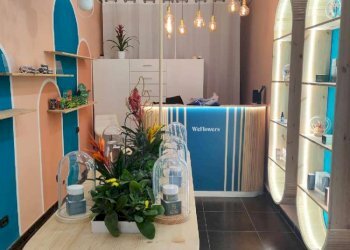 negozio - Shop via Carlo Alberto, 1, Torino (neighborhood Centro) - photo 1