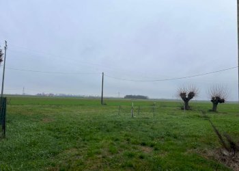 whatsapp image 2025-12-22 at 15.38.31 (2) - Porzione di casa via Sant'Antonio, Medicina - foto 19