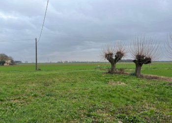 whatsapp image 2025-12-22 at 15.38.31 (8) - Porzione di casa via Sant'Antonio, Medicina - foto 21