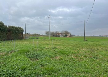 whatsapp image 2025-12-22 at 15.38.31 (9) - Porzione di casa via Sant'Antonio, Medicina - foto 22