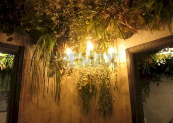 Edificio all\'aperto - Bar Tavola Calda - Fredda piazzale san lorenzo
 
1, Parma - foto 16