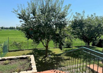 Giardino - Villa a Schiera via Salati
 
21, Parma - foto 18