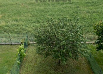 Giardino - Villa a Schiera via Salati, Parma - foto 32