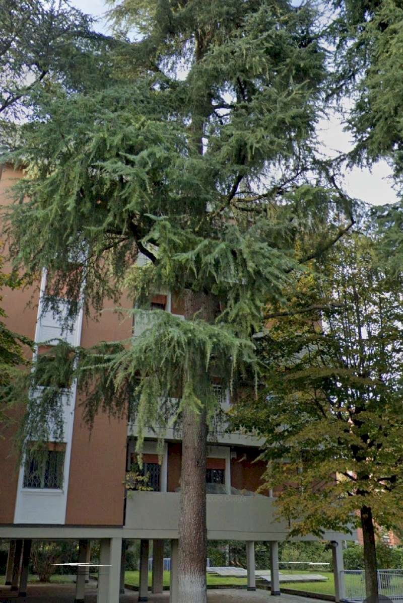 img_5511 - Appartamento via Sacco e Vanzetti, 4, Castenaso - foto 2