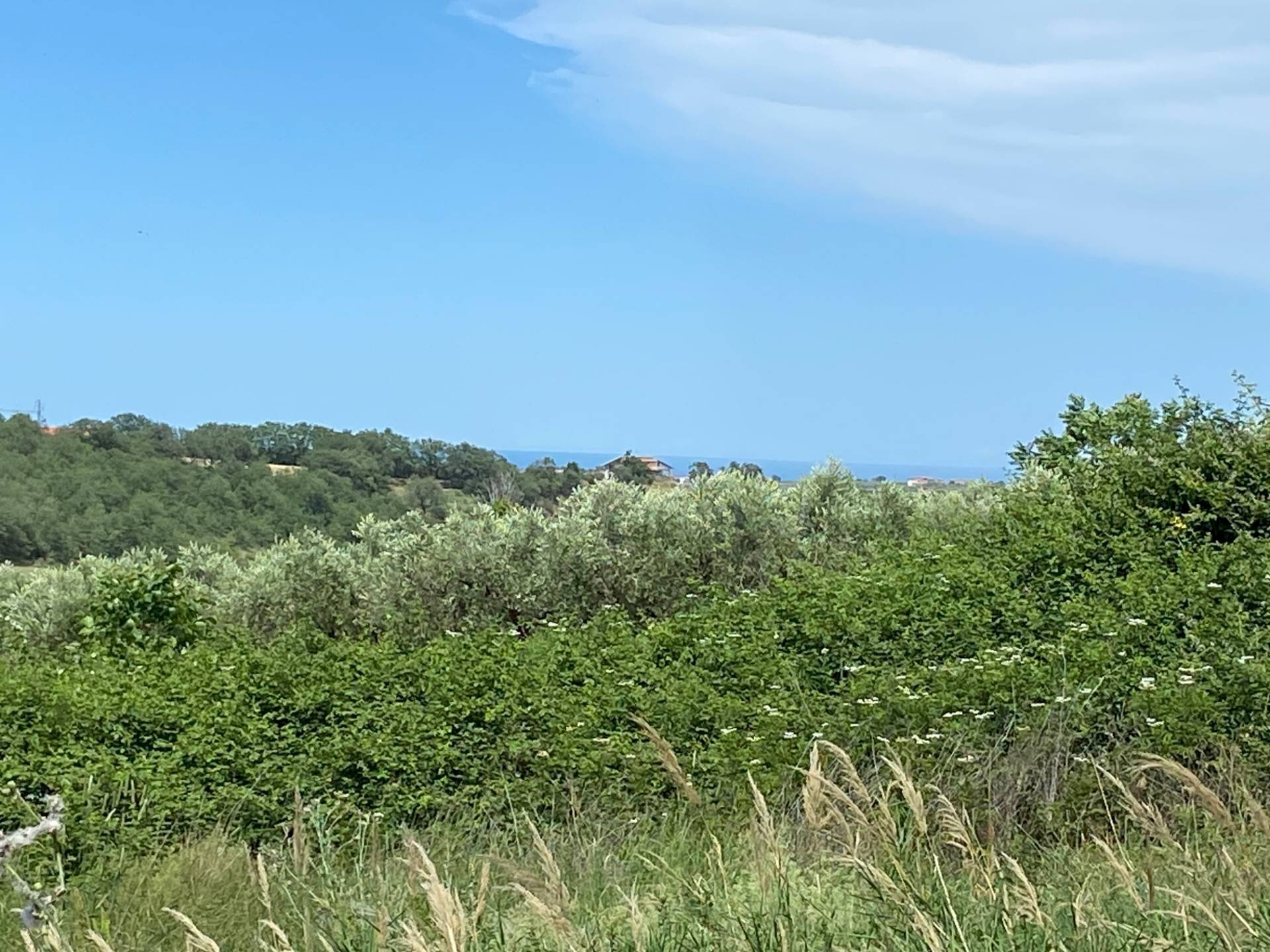 Foto 1 - Agricultural land Contrada Strane
 
snc, Cupello - photo 1