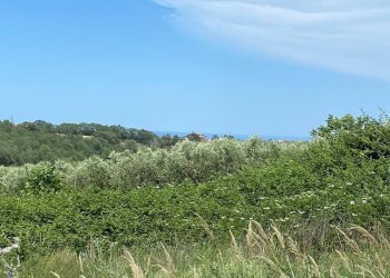 Foto 1 - Terreno agricolo Contrada Strane
 
snc, Cupello - foto 1