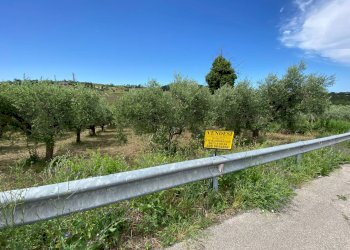 Foto 3 - Terreno agricolo Contrada Strane
 
snc, Cupello - foto 3