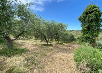 Foto 4 - Terreno agricolo Contrada Strane
 
snc, Cupello - foto 4