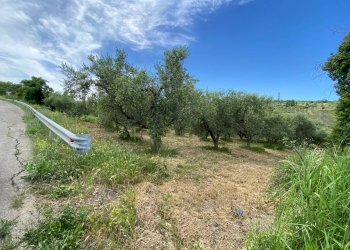 Foto 5 - Terreno agricolo Contrada Strane
 
snc, Cupello - foto 5