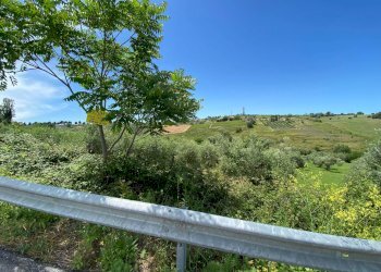 Foto 8 - Terreno agricolo Contrada Strane
 
snc, Cupello - foto 8