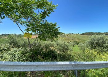 Foto 9 - Terreno agricolo Contrada Strane
 
snc, Cupello - foto 9