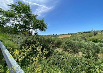 Foto 10 - Terreno agricolo Contrada Strane
 
snc, Cupello - foto 10