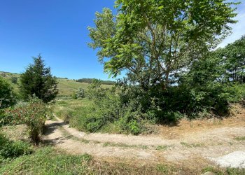 Foto 11 - Terreno agricolo Contrada Strane
 
snc, Cupello - foto 11