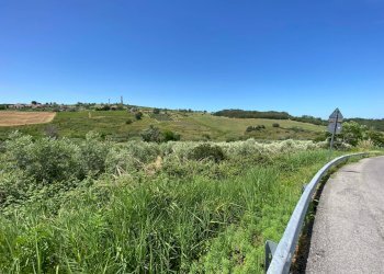 Foto 13 - Terreno agricolo Contrada Strane
 
snc, Cupello - foto 13