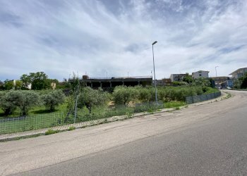 Foto 14 - Terreno agricolo Contrada Strane
 
snc, Cupello - foto 14