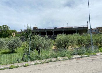 Foto 15 - Terreno agricolo Contrada Strane
 
snc, Cupello - foto 15