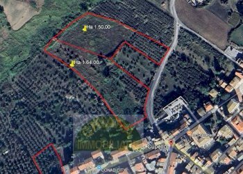 Foto 18 - Terreno agricolo Contrada Strane
 
snc, Cupello - foto 18