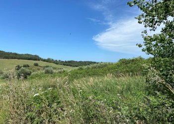 Foto 20 - Terreno agricolo Contrada Strane
 
snc, Cupello - foto 20