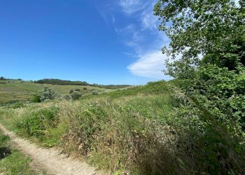 Foto 21 - Terreno agricolo Contrada Strane
 
snc, Cupello - foto 21