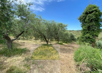 Foto 1 - Terreno agricolo Contrada Strane
 
snc, Cupello - foto 1