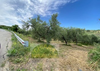 Foto 2 - Terreno agricolo Contrada Strane
 
snc, Cupello - foto 2