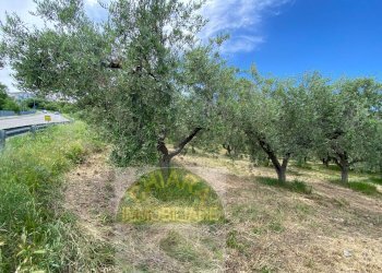 Foto 3 - Terreno agricolo Contrada Strane
 
snc, Cupello - foto 3