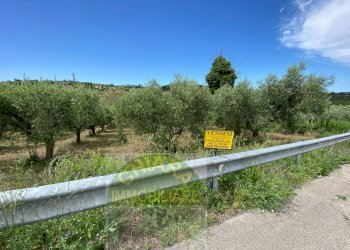 Foto 4 - Terreno agricolo Contrada Strane
 
snc, Cupello - foto 4