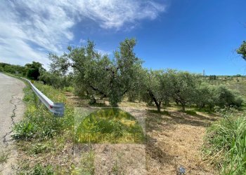 Foto 6 - Terreno agricolo Contrada Strane
 
snc, Cupello - foto 6